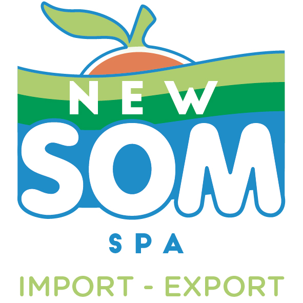 Logo 1